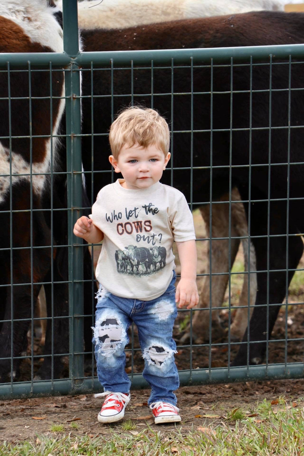 Who let the cows out?